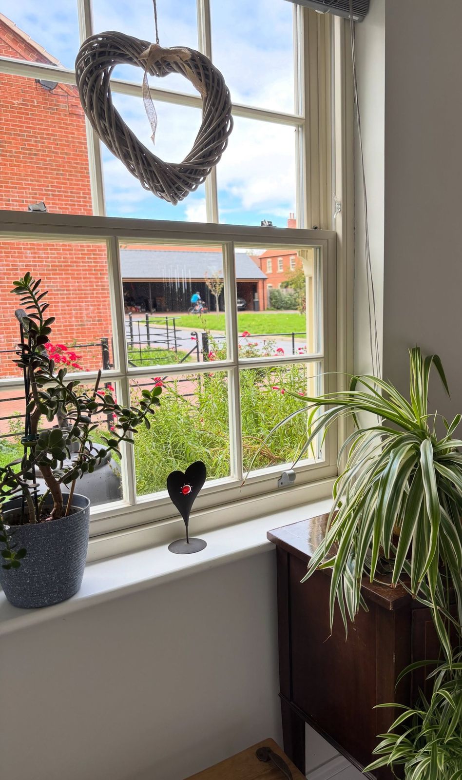 Clean sunny window sill with plants